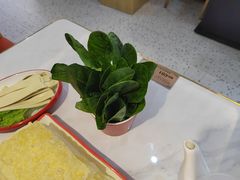 -喜九·重庆麻麻鱼·美蛙锅