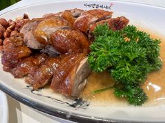 港式烧鸭（只）-兴粤匯香港茶餐厅(宝山日月光店)
