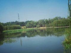 -东坝千亩湖公园