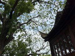-八大山人梅湖景区