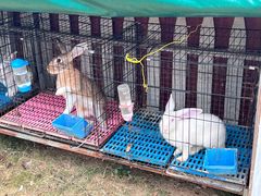 -湖南湘都生态农业园