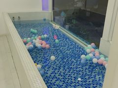 -BABYDOG宝贝狗宠物乐园(欧洲城店)