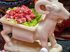 -京炭铜锅涮肉·羊蝎子·羊肉炉(保利·时光里店)