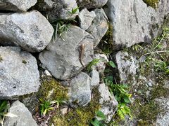 -三千院
