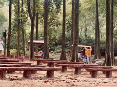 -广州市帽峰山景区
