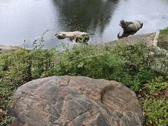 -金银湖国家城市湿地公园