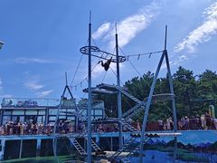 -西霞口神雕山野生动物世界