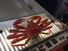 -蟹道乐(道顿堀本店)