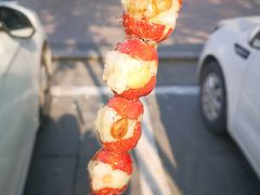-糖葫芦王保定名吃(古莲花池店)