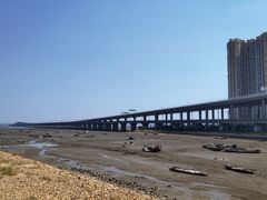 -厦门市图书馆(集美新城馆区)