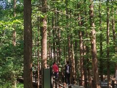 -国家植物园南园