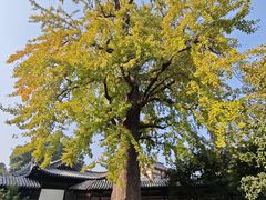 -常熟方塔园