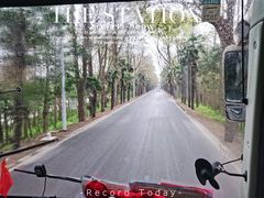 -上海海湾国家森林公园