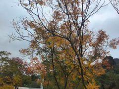 -汉庭(成都一品天下地铁站店)