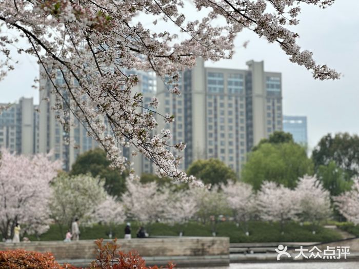 诺贝尔湖公园图片