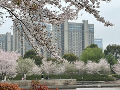 -诺贝尔湖公园