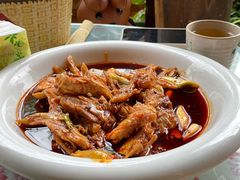 -龙翔山庄雷鸡肉(青城后山泰安古镇店)