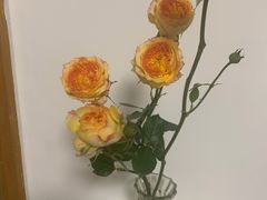 -珍味汤馆·潮汕家乡菜(保利文化广场店)