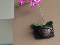 -鑫花溪牛肉米粉(东环大润发店)