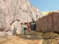 -武汉动物园