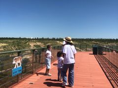 -鄂尔多斯野生动物园