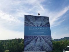 -北京东方普罗旺斯薰衣草庄园