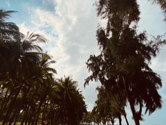 -万绿园