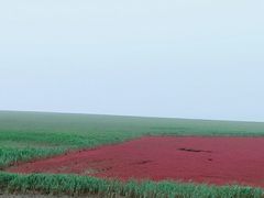 -红海滩国家风景廊道