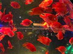 -海合安青岛极地海洋公园