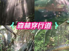 -青青世界