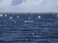 -田记自助海鲜饺子
