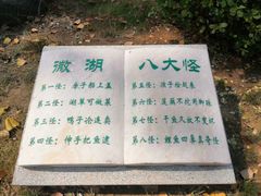 -台儿庄古城