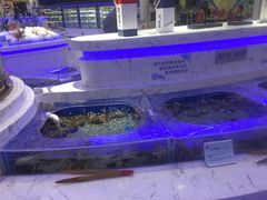 水产区-澜悦港海鲜体验主题餐厅