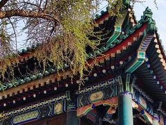 -国家图书馆·古籍馆