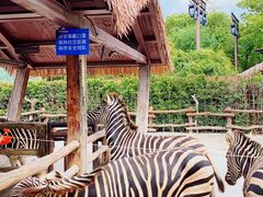 -上海野生动物园