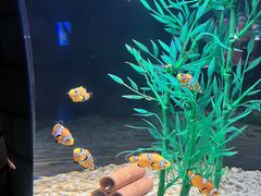 -成都浩海立方海洋公园