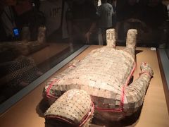 -南京博物院