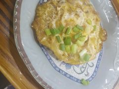 -九斤黄三黄鸡专卖店