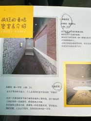 -疯狂的麦咭(长沙店)