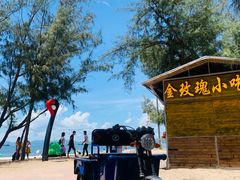 -玫瑰海岸文化旅游度假区