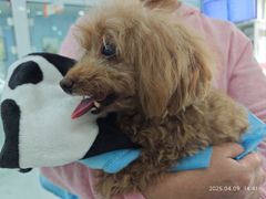 -纳吉亚猫专科动物诊疗中心(蒋宅口分院)