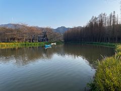 -森波拉奇妙世界