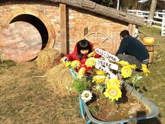 -HERRE·FARM 赫尔露营农场·团建聚会包场