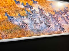 -罗红摄影艺术馆