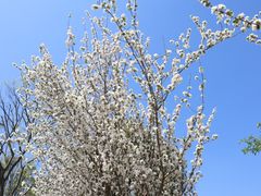 -仙海旅游度假区