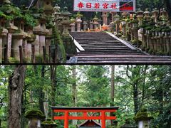 -奈良公园