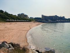 -仙人岛