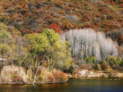 -玉渡山自然风景区