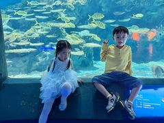 -海合安武汉极地海洋公园