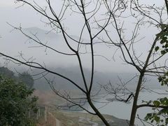 -朝阳正码头